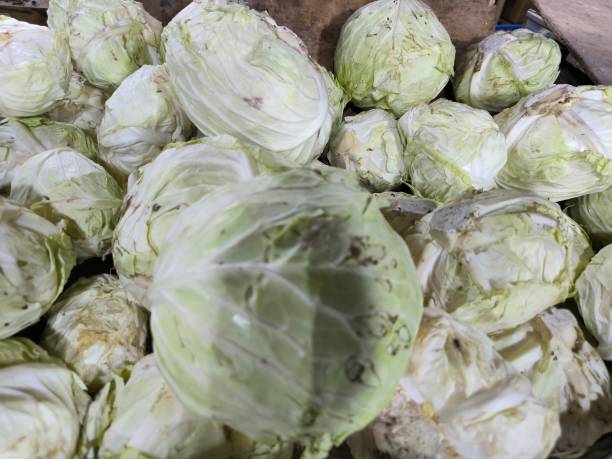 istock Piles of cabbage at a traditional market 1925706253