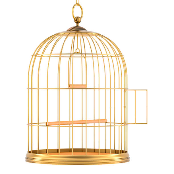 Golden bird cage with open door, 3D rendering isolated on white background