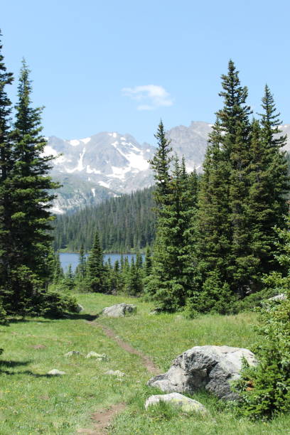 baum- und bergpfad - mountain range colorado treetop continental divide stock-fotos und bilder