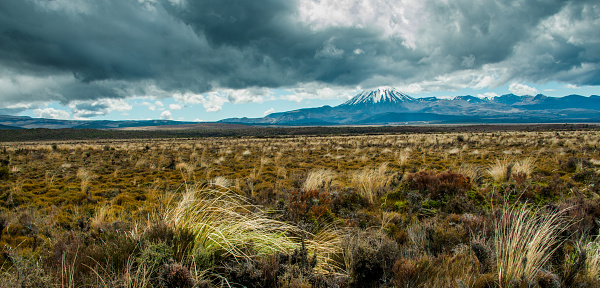 Tongariro National Park is in the Taupo Volcanic Zone