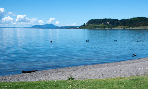 Largest lake in the Central North Island