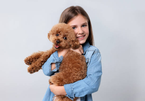 istock Little child with cute puppy on light grey background. Lovely pet 1925791465