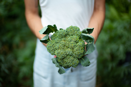 A woman holds a head of home grown broccoli in her hands like a bouquet of flowers in the summertime