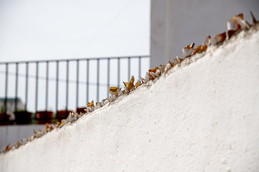 A cornice of a white painted wall, on which many pieces of glass are attached to prevent birds from sitting on the wall.