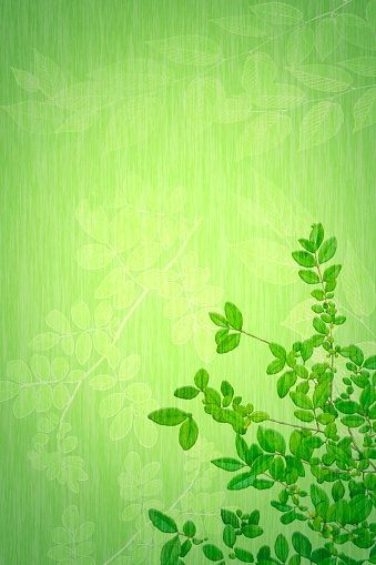 Leaves Vignette Background with copy space - summer, spring - textured