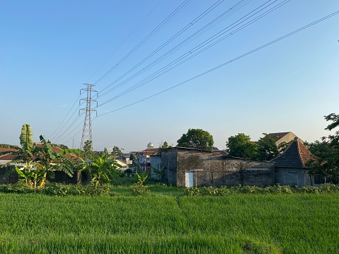 Electric pole stand between housing and rice fields in a village
