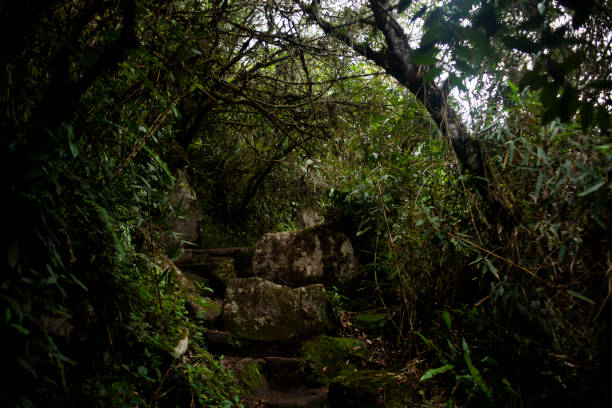 istock Trail Machu Picchu, Inca Valley, Peru 1925877899
