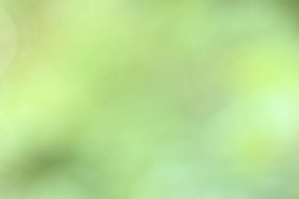 istock green nature blur background.  green blurry abstract 1925917796