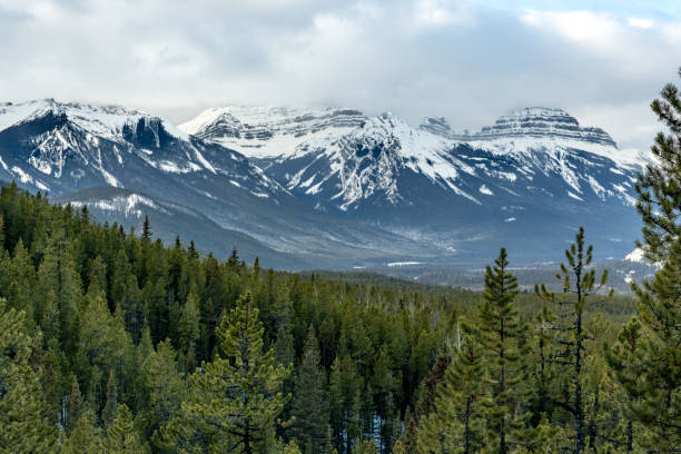 istock Banf National Park winter scene 1925922027