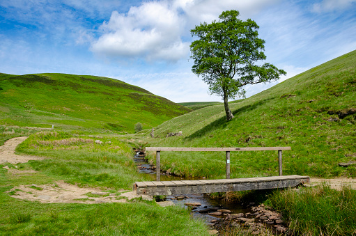 An image of the Derwent area in Derbyshire, capturing the quintessential English countryside with its rolling hills and verdant landscapes. Derwent is home to Howden Moor and the Derwent Reservoir, a centrepiece of this picturesque region.