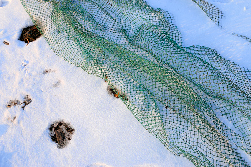 Fishing nets in the snow
