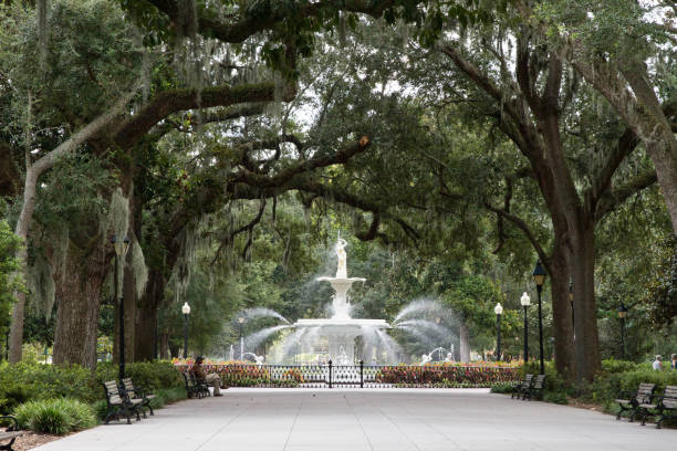 istock Savannah Water Fountain 1926008840