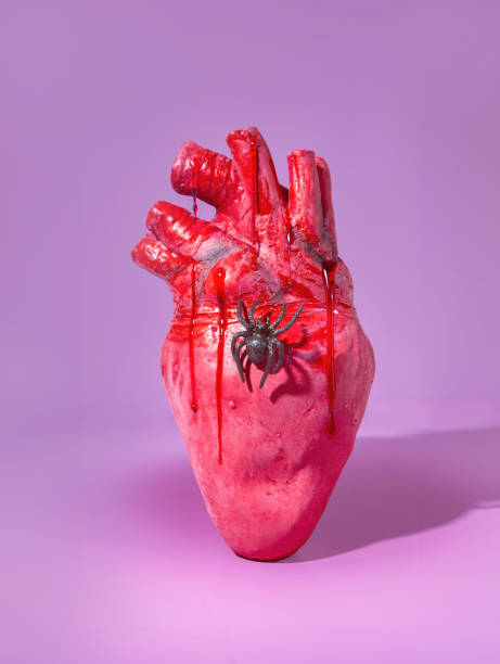 istock A Bleeding Anatomical Red Heart with a Spider Crawling, Bleeding Heart Concept 1926011498
