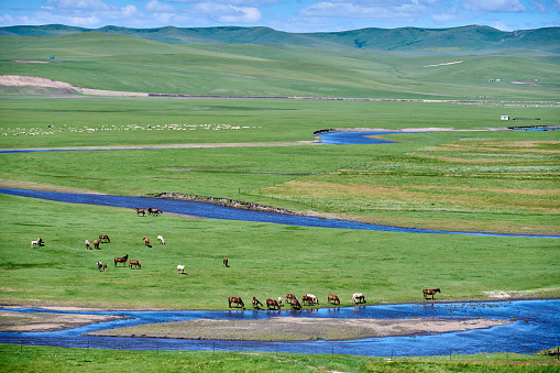 Scenic view of steppe landscape in front of mountain range, Mankhan, Mongolia.