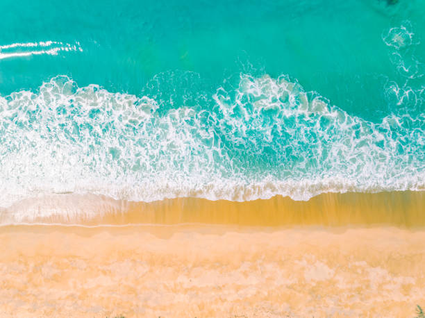 istock Top view beach with waves crashing on sandy shore,Beautiful waves sea surface in summer seascape background,Amazing beach colorful water background 1926053959