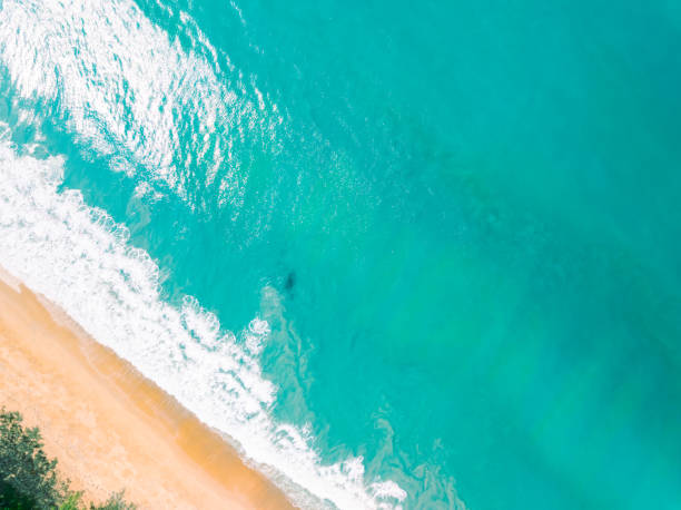 istock Top view beach with waves crashing on sandy shore,Beautiful waves sea surface in summer seascape background,Amazing beach colorful water background 1926053964