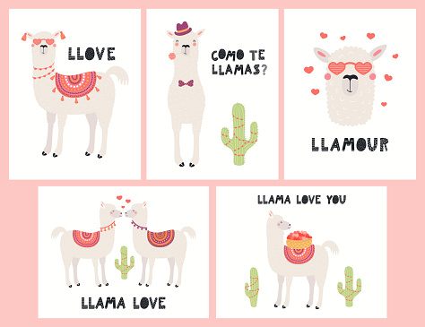 Set of Valentines day cards with cute funny llamas, cacti, hearts, text, Spanish Como te llamas, Whats you name. Hand drawn vector illustration. Scandinavian style flat design. Concept children print.