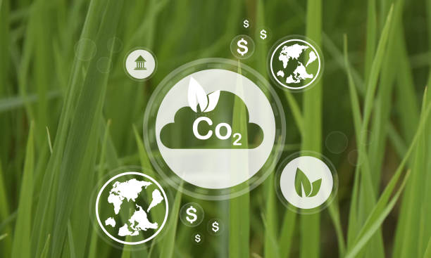 istock Reduce CO2 emission concept. Clean and friendly environment without carbon dioxide emissions.CO2 reducing icon inside magnifier glass for carbon credit to limit global warming from climate change 1926163419