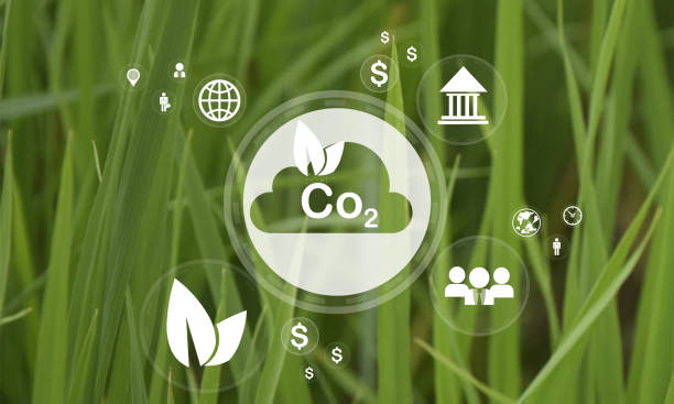 istock Reduce CO2 emission concept. Clean and friendly environment without carbon dioxide emissions.CO2 reducing icon inside magnifier glass for carbon credit to limit global warming from climate change 1926163437