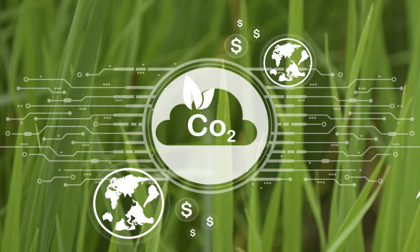 istock Reduce CO2 emission concept. Clean and friendly environment without carbon dioxide emissions.CO2 reducing icon inside magnifier glass for carbon credit to limit global warming from climate change 1926163450