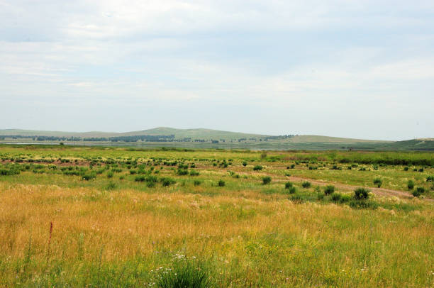 steppe plate avec de hautes herbes jaunies et des buissons bas au pied d’une chaîne de collines sous un ciel nuageux. k - grass area hill sky mountain range photos et images de collection