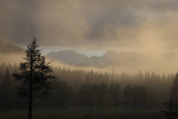 istock Mountain through Golden Fog and Low Clouds 1926190020