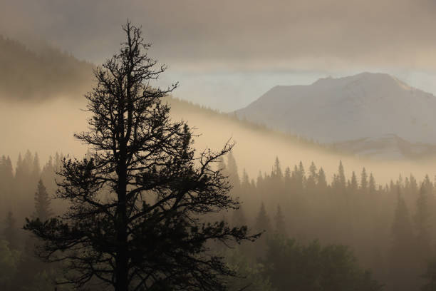 istock Mountain Revealed through the Fog 1926195800