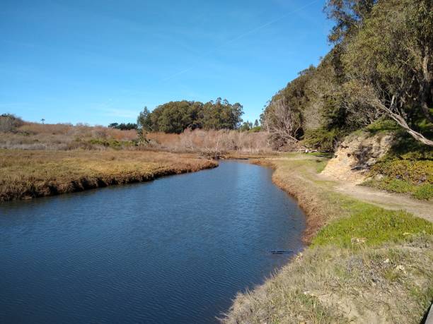istock River inlet to Ocean 1926205141