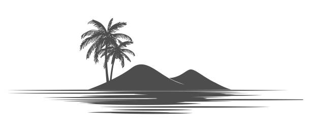 ilustrații de stoc cu palmier de cocos cu insulă pentru plajă sau ocean vector de design ilustrativ pentru călătorii pe plajă sau ocean - insulă