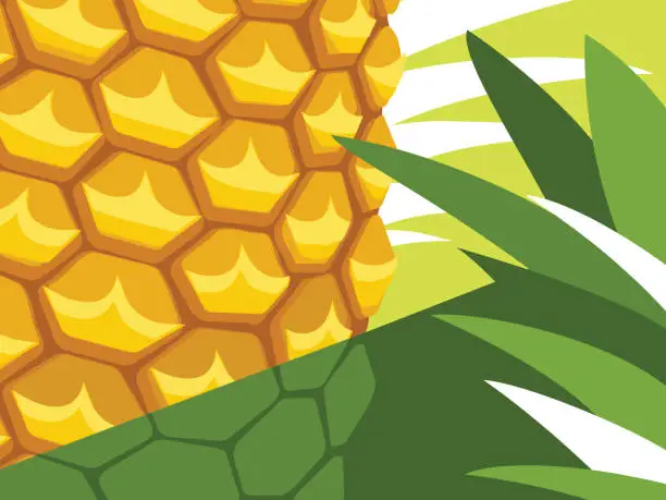 Vector illustration of Abstract fruit illustration in flat cut out style. Pineapple and leaves close up. Vector illustration.