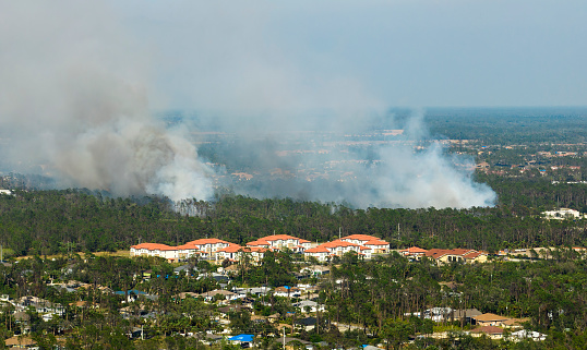 Wildfire burning severely during dry winter season in North Port city, Florida. Thick smoke rising up over suburb homes.