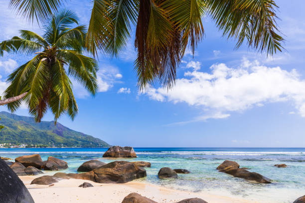 istock Beach view with white sand, rocks and palm trees under blue sky. Beau Vallon landscape, Seychelles 1926419310