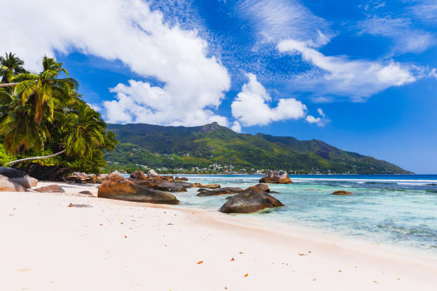 istock Beau Vallon Beach landscape on a sunny summer day, Seychelles. Coastal view 1926419320