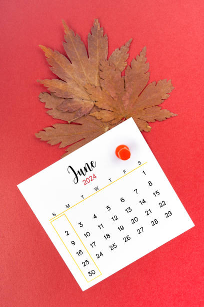 istock June 2024 calendar page and autumn maple leaf with thumbtack. 1926432951