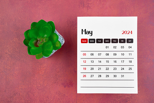 Calendar page for May 2024 and houseplant on retro background, planning concept.