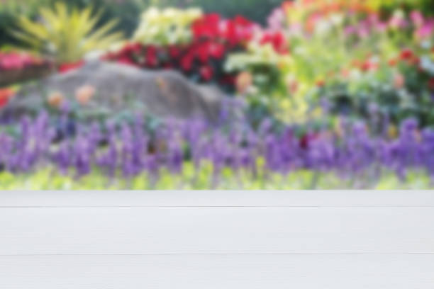 Wooden white empty table in outdoor blurred colourful flowers background. empty rustic wooden table. Mock up for display of product.
