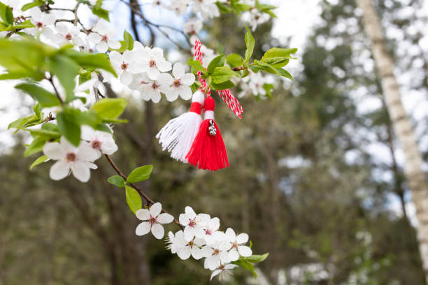 istock Symbol Martenitsa, Baba Marta, Martisor on blossoming tree branch. Decorations made of red and white thread are traditional in Balkan Bulgaria, Greek, Albania, Romania, Macedonia. Horizontal plane 1926464879