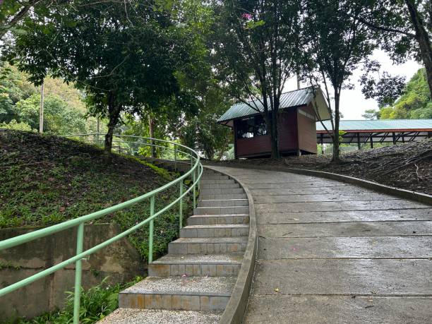 rainforest discovery center. sandakan is also the second largest town in sabah, malaysia. known as the natural city, sandakan visitors have the opportunity to explore wildlife sanctuaries and discovery centers. - sanctuaries fotografías e imágenes de stock