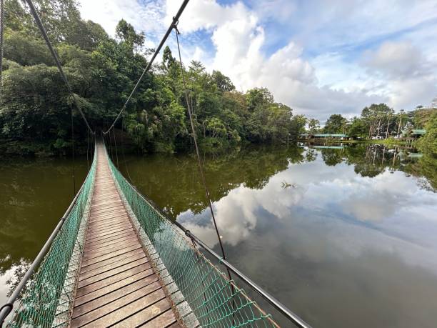 rainforest discovery center. sandakan is also the second largest town in sabah, malaysia. known as the natural city, sandakan visitors have the opportunity to explore wildlife sanctuaries and discovery centers. - sanctuaries fotografías e imágenes de stock