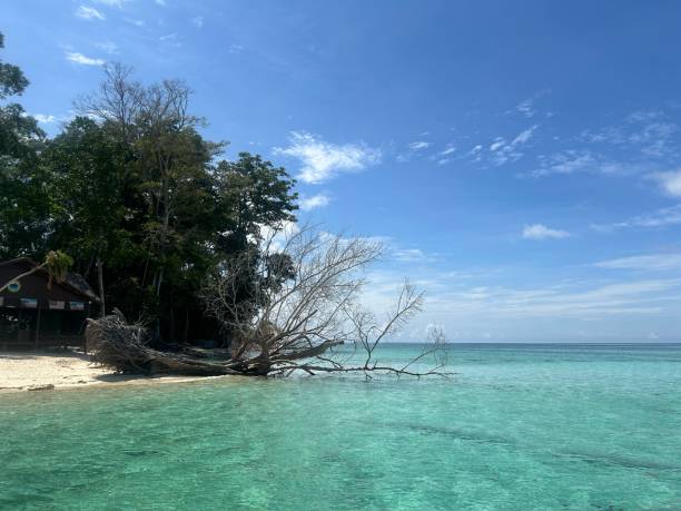 istock The best diving spot Sipadan Island, Sabah state in Malaysia. 1926498708