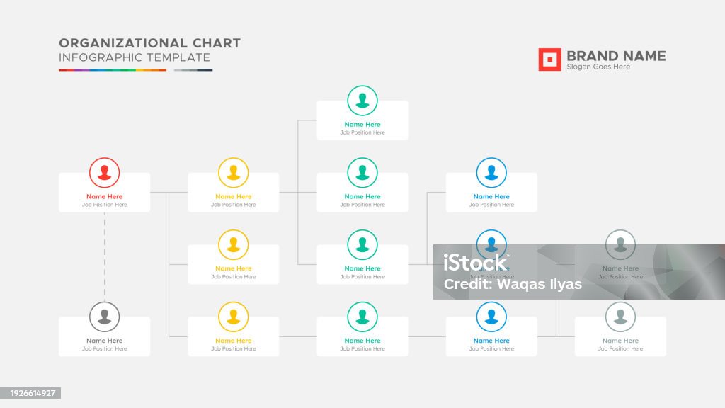 Organizational Chart Tree Diagram Dendrogram Business Infographic ...