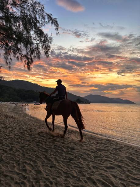 istock Horse Riding At The Beach During Sunset 1926651245