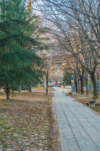 The saint Sava park in Niš without people