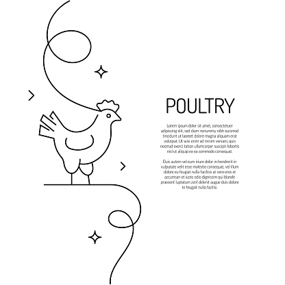 Continuous Line Drawing of Poultry Icon. Hand Drawn Symbol Vector Illustration.