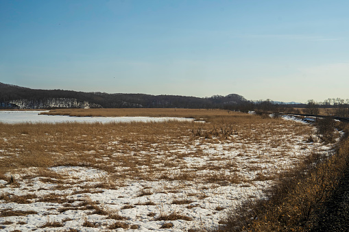 Kushiro Marsh in winter