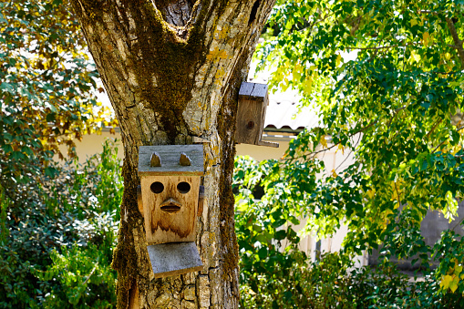 wooden garden nest box for bird chicks hanging from the tree in the family garden
