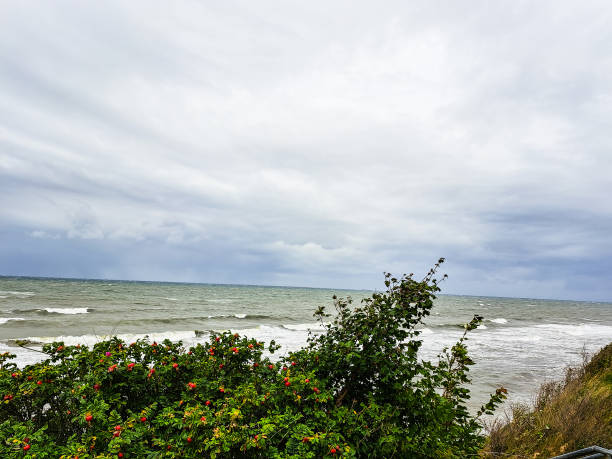 Blick von einer Steilküste auf die Ostsee