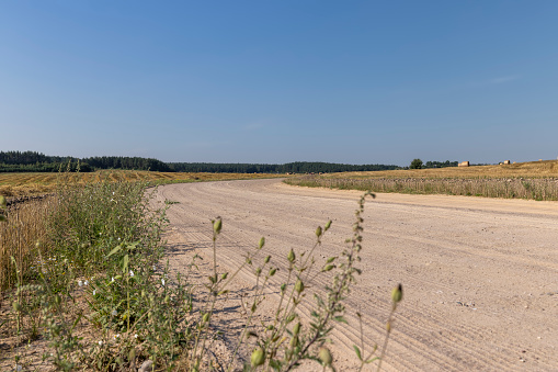 Rural road for cars and transport, ruts and traces of cars on a sandy road in rural areas
