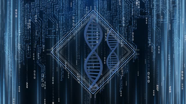 DNA Analysis Computer HUD