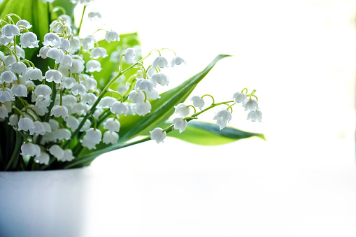 Close-Up of a  Lily of the valley Bouquet on a dark background.